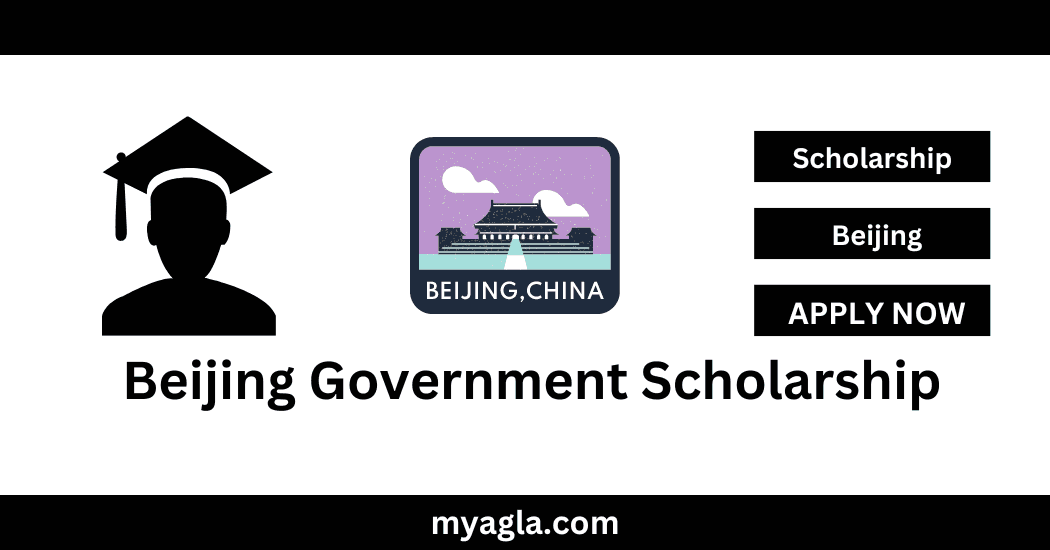 Beijing Government Scholarship