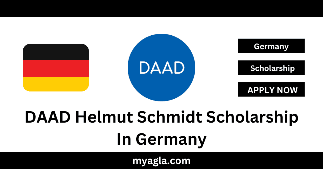 DAAD Helmut Schmidt Scholarship In Germany