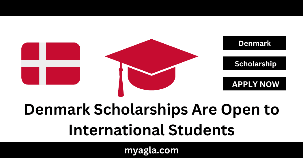 Denmark Scholarships Are Open to International Students