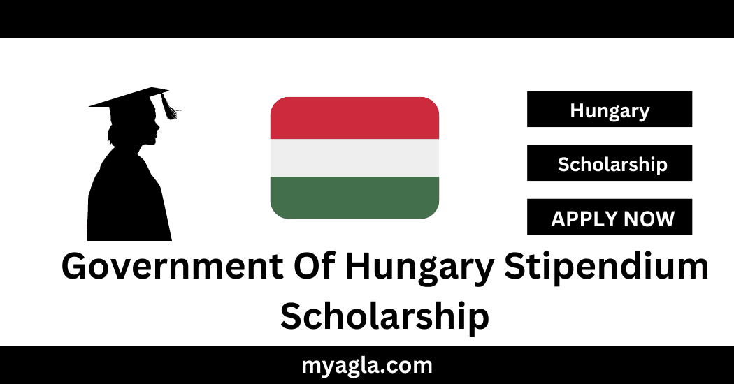 Government Of Hungary Stipendium Scholarship