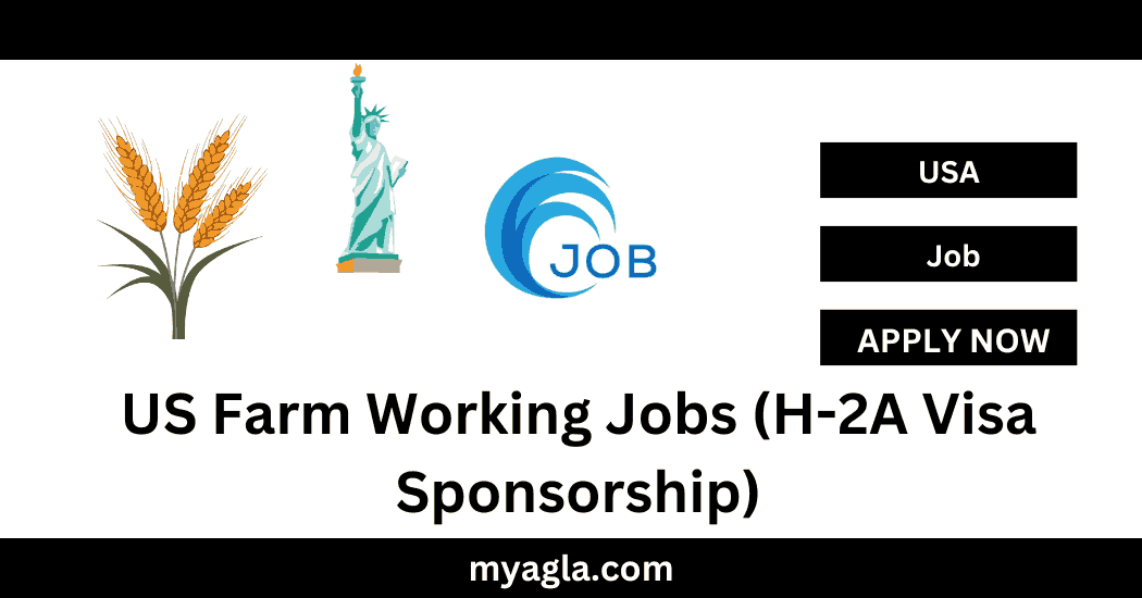 US Farm Working Jobs (H-2A Visa Sponsorship)