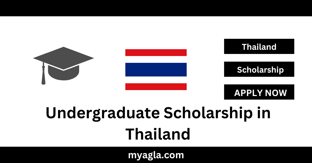 Undergraduate Scholarship in Thailand