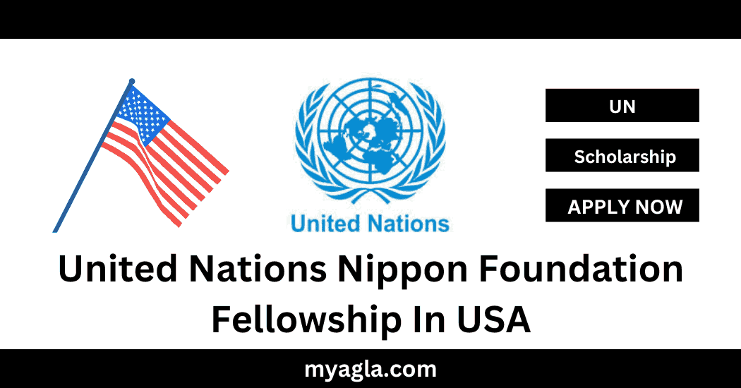 United Nations Nippon Foundation Fellowship In USA