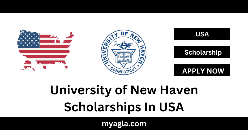 University of New Haven Scholarships In USA