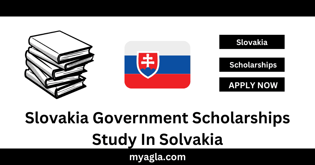 Slovakia Government Scholarships