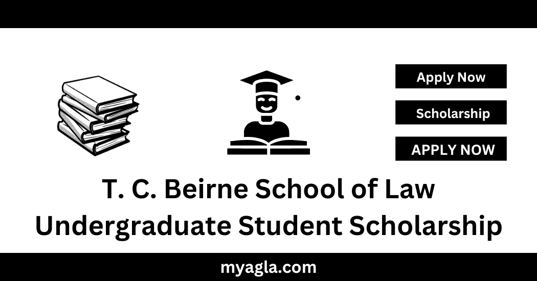 T. C. Beirne School of Law Undergraduate International Student Scholarship