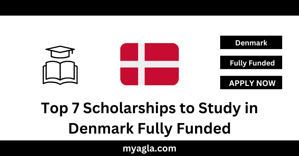 Top 7 Scholarships to Study in Denmark Fully Funded