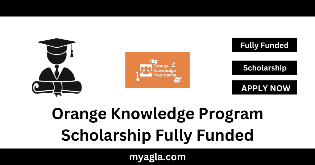 Orange Knowledge Program Scholarship Fully Funded