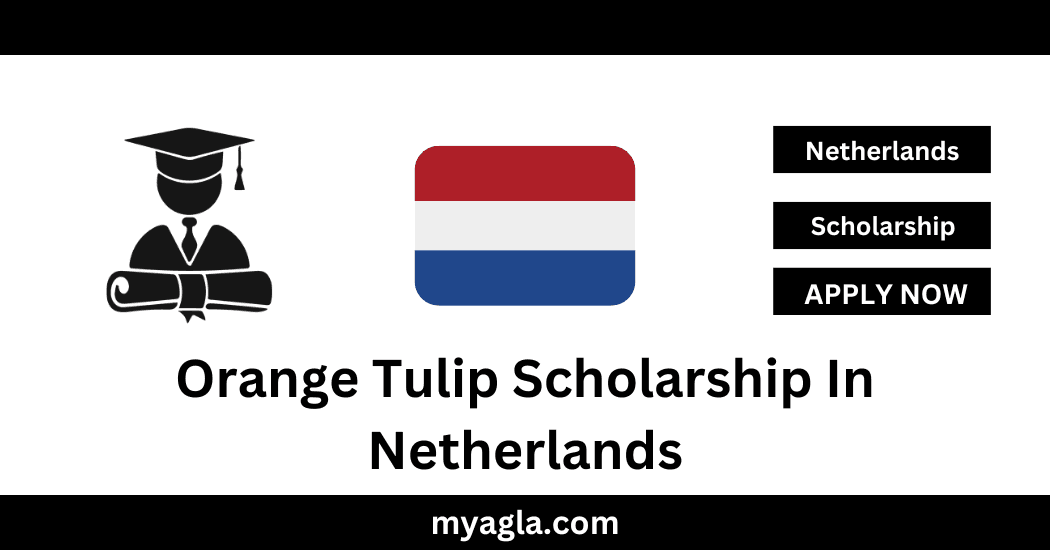 Orange Tulip Scholarship In Netherlands