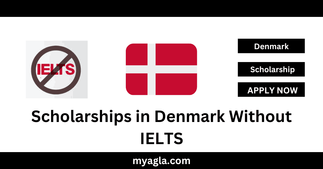 Scholarships in Denmark Without IELTS