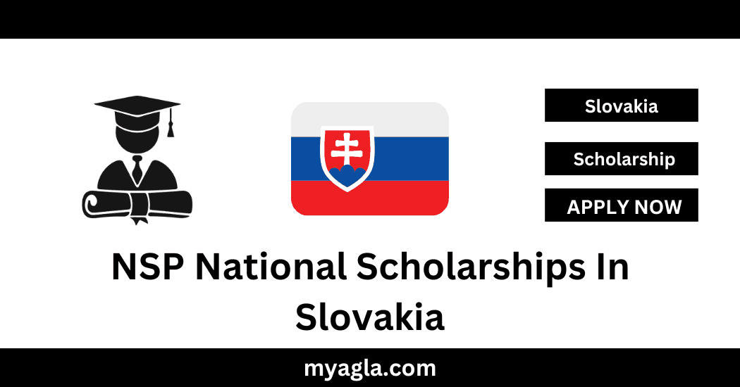 NSP National Scholarships In Slovakia